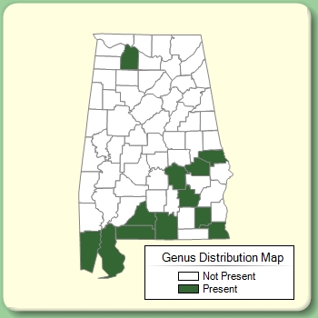 Genus Distribution Map