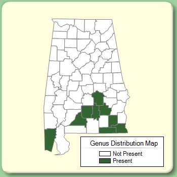 Genus Distribution Map