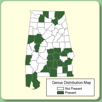 Genus Distribution Map