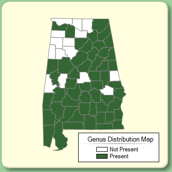 Genus Distribution Map