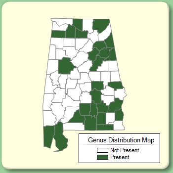 Genus Distribution Map