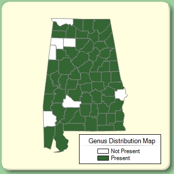 Genus Distribution Map