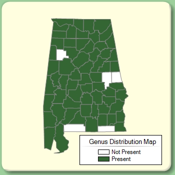 Genus Distribution Map