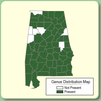 Genus Distribution Map