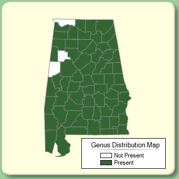 Genus Distribution Map