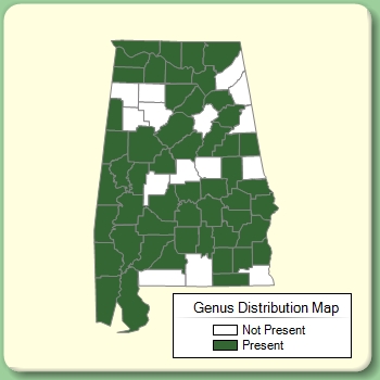 Genus Distribution Map