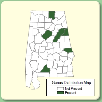 Genus Distribution Map