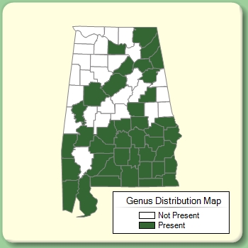 Genus Distribution Map