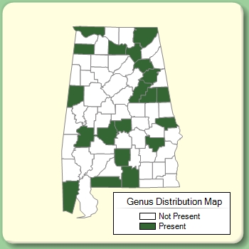 Genus Distribution Map