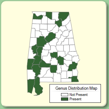 Genus Distribution Map