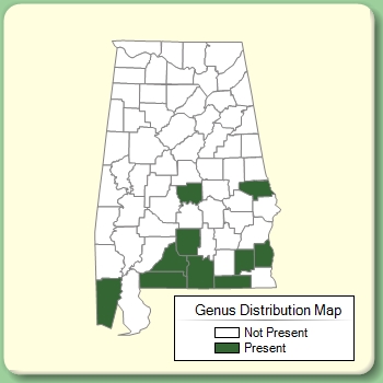 Genus Distribution Map