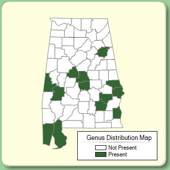 Genus Distribution Map