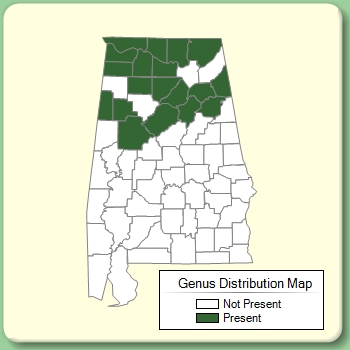 Genus Distribution Map