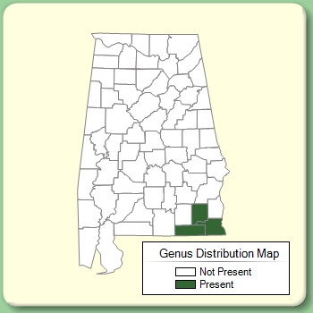 Genus Distribution Map