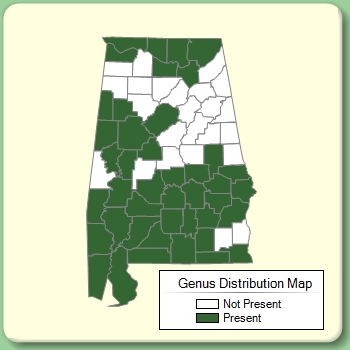 Genus Distribution Map