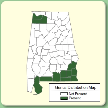 Genus Distribution Map