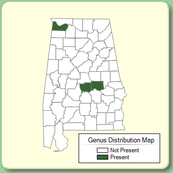 Genus Distribution Map