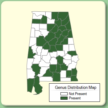 Genus Distribution Map