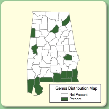 Genus Distribution Map