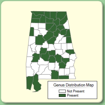 Genus Distribution Map