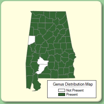 Genus Distribution Map