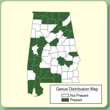 Genus Distribution Map