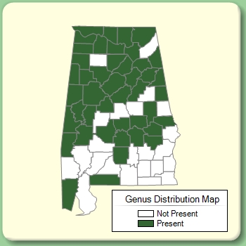 Genus Distribution Map