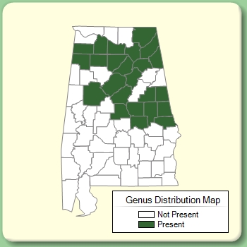 Genus Distribution Map