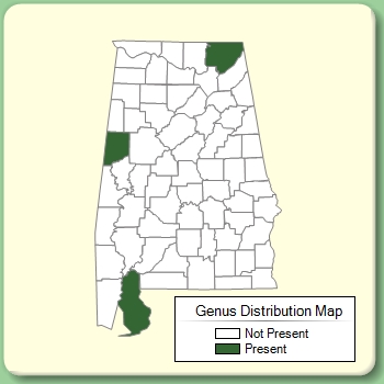 Genus Distribution Map