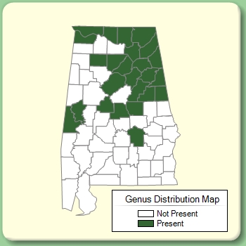 Genus Distribution Map