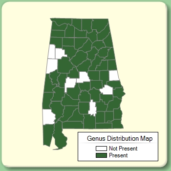 Genus Distribution Map