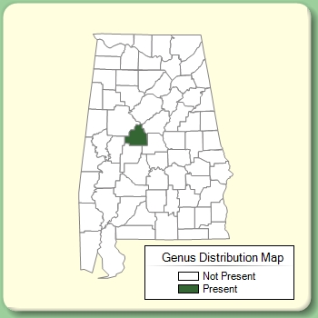 Genus Distribution Map