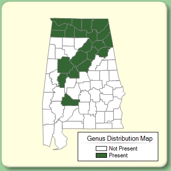 Genus Distribution Map