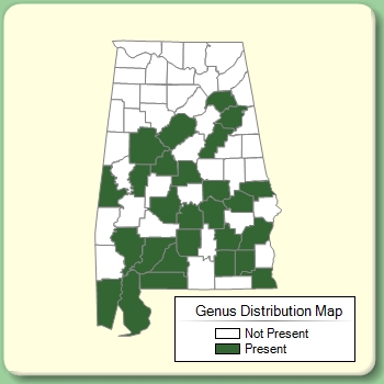 Genus Distribution Map