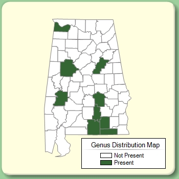 Genus Distribution Map