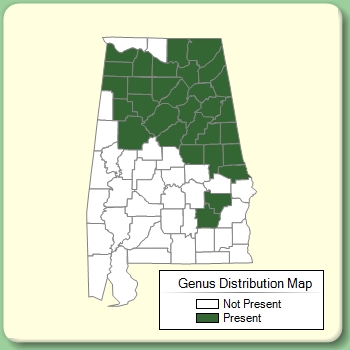 Genus Distribution Map