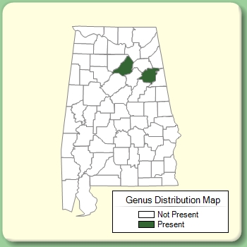 Genus Distribution Map