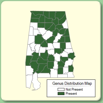 Genus Distribution Map