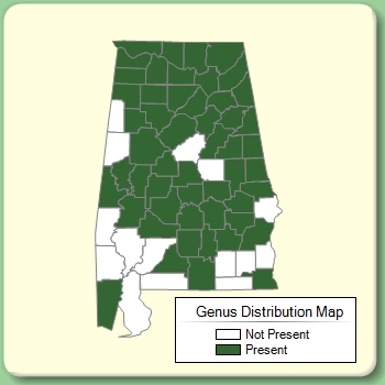 Genus Distribution Map