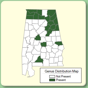 Genus Distribution Map