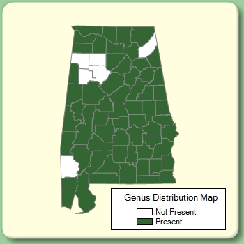 Genus Distribution Map