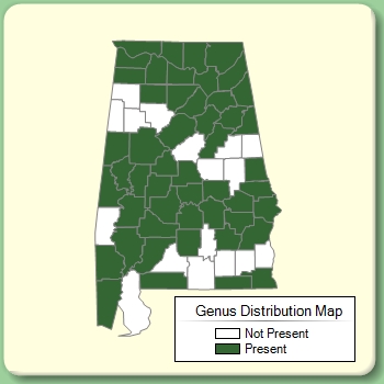 Genus Distribution Map