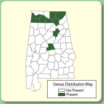 Genus Distribution Map