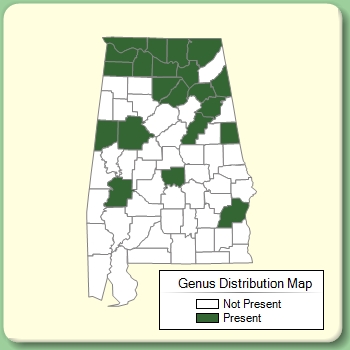 Genus Distribution Map