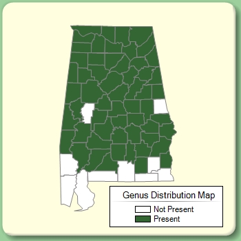 Genus Distribution Map