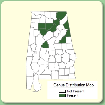 Genus Distribution Map