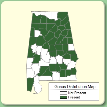 Genus Distribution Map