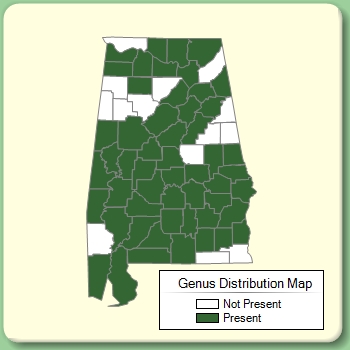 Genus Distribution Map