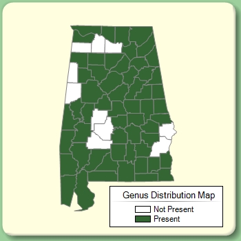 Genus Distribution Map