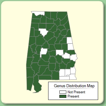 Genus Distribution Map